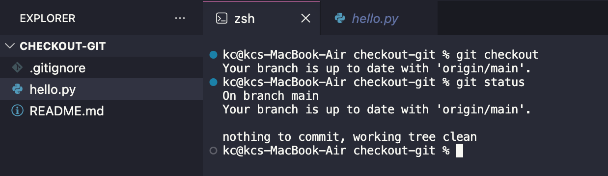 git checkout and git status