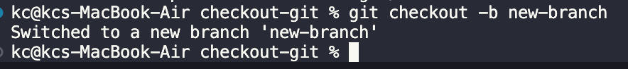 git checkout to create a new branch