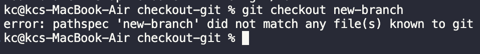 git checkout non existing branch