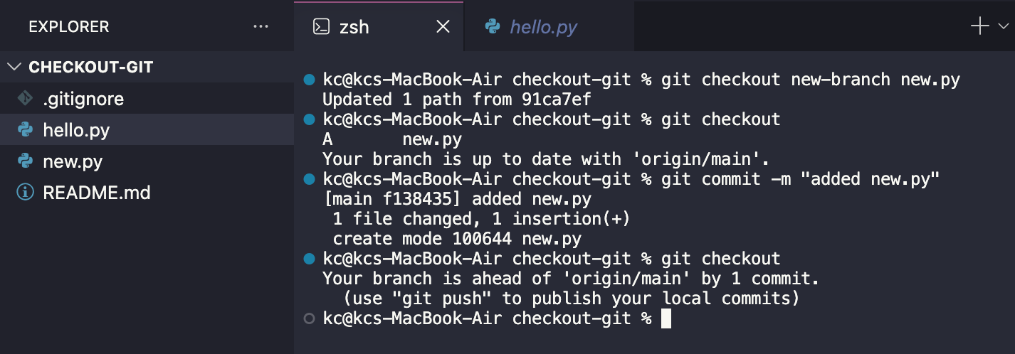 git checkout to add a new file