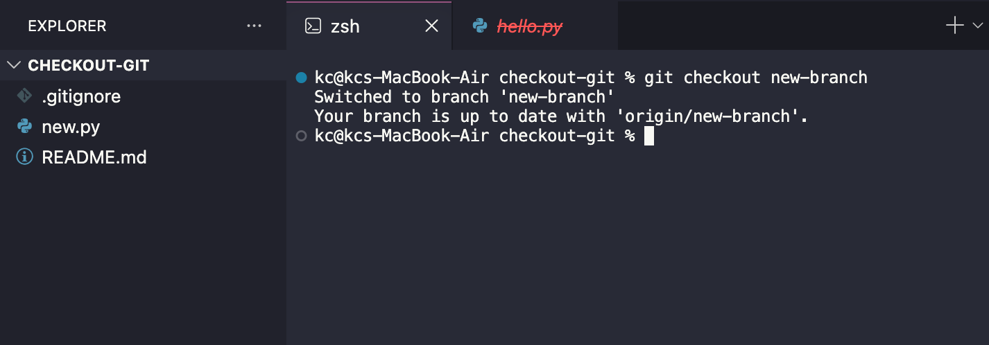 git checkout to delete a file