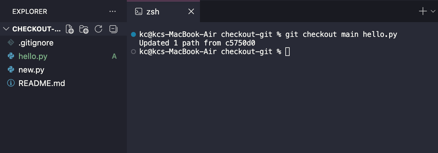 git checkout to restore a file