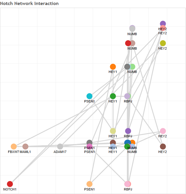 Notch Network Interaction