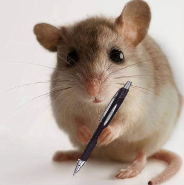 mouse-with-pen